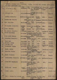 Thumb gminna rada 1947